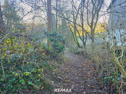 Garten mit Baumbestand