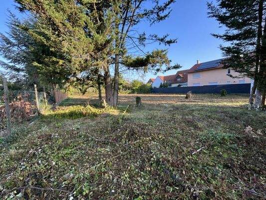 Blick auf das Grundstück 4