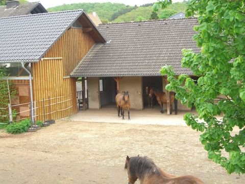 Nimshuscheid Häuser, Nimshuscheid Haus kaufen