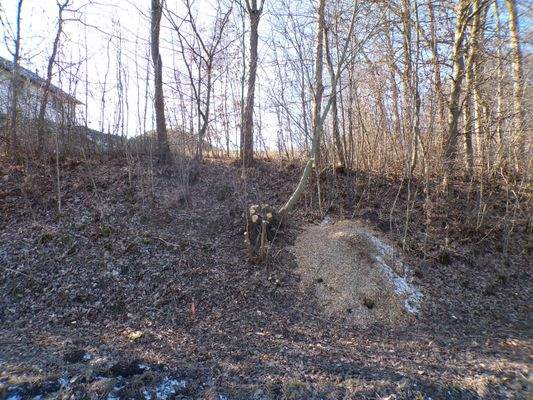 Straßenansicht nach West.JPG