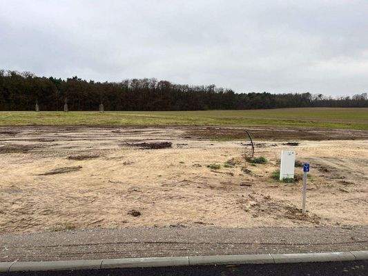 Gr. 24 linke Seite.jpg