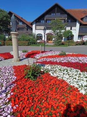 Griesbacher Hof Blumen v 19.7.