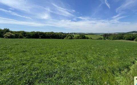 Buchholz Grundstücke, Buchholz Grundstück kaufen