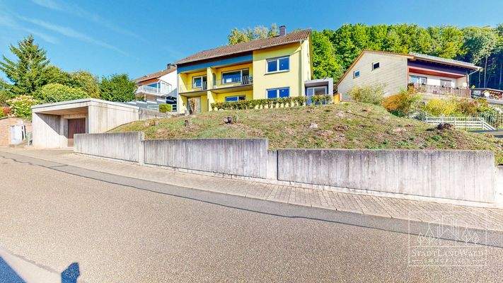 Straßenansicht - Haus-Vorgarten-Garage