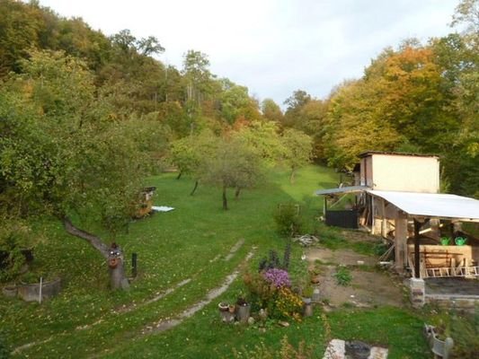 Wiese am Haus