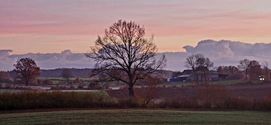 Abendstimmung