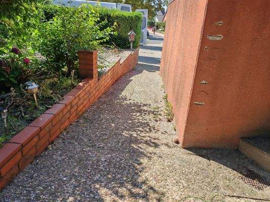 WhatsApp Image 2025-08-24 at 00.22.39 (8)