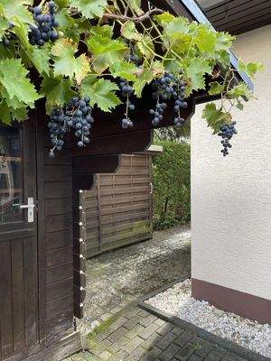 Außenbereich Vorgartenlaube