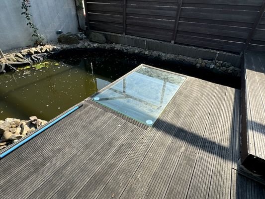 Blick auf den Teich