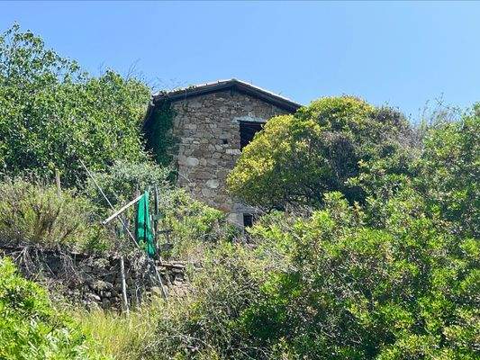 CA910_27 TERRA ITALIA IMMOBILIEN_LIGURIEN_CAMPOROS