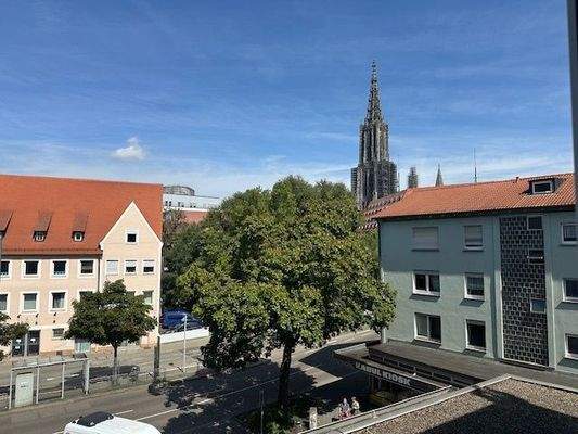 Blick auf das Ulmer Münster von Eingangsbereich