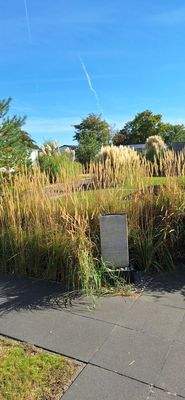 Ferienhaus kaufen Zeeland003