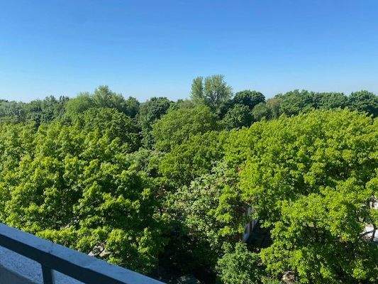 Die herrliche Ansicht in Sommerzeit