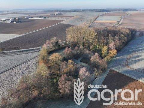 Heilbronn Bauernhöfe, Landwirtschaft, Heilbronn Forstwirtschaft