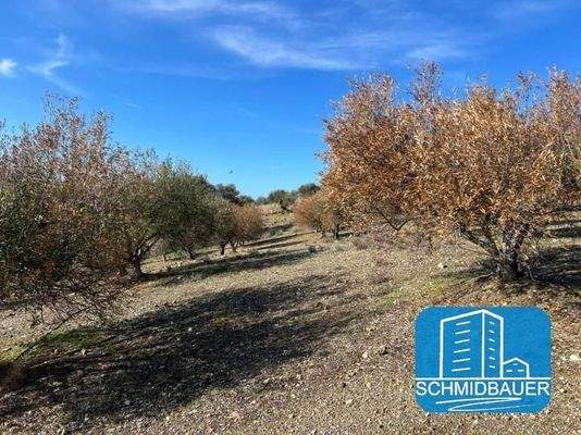 Kreta, Sivas: Grundstück am Ortsrand mit 360-Grad-Aussicht zu verkaufen