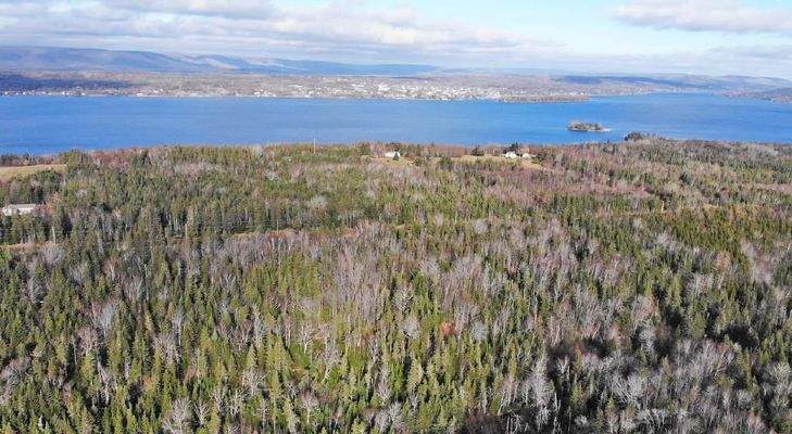 Cape Breton - Bras d`Or Lake - 18-Hektar-Areal in 