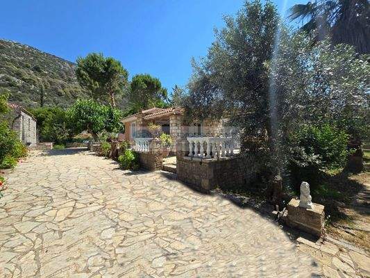 img_cee7570f-ee60-4b27-a175-b05927d579b3