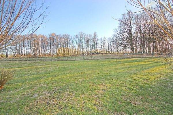 Blick aufs Grundstück