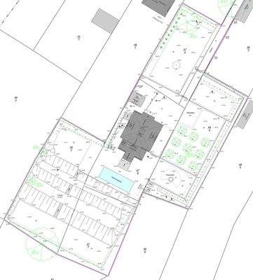 Freiflächen- und Lageplan