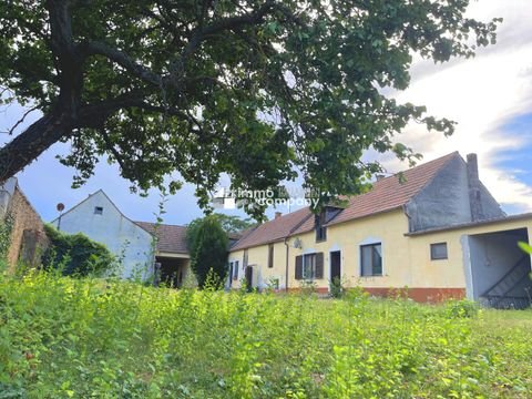 Breitenbrunn am Neusiedler See Häuser, Breitenbrunn am Neusiedler See Haus kaufen