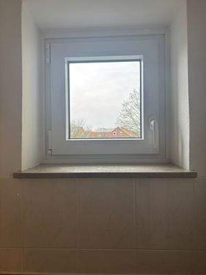 WhatsApp Image 2026-02-19 at 15.36.26 (1)