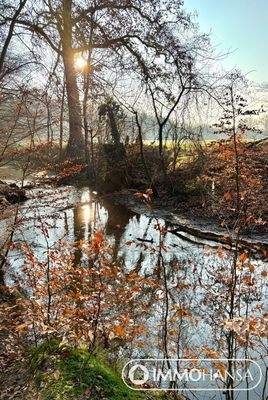 Umgebungsbild Hasenburger Bachtal