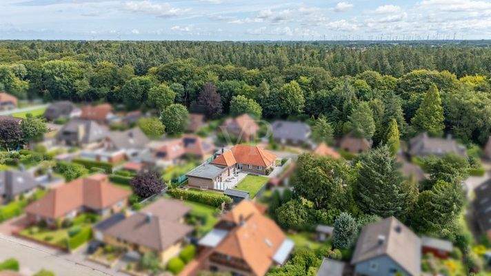 Umgebungsansicht : Waldansicht