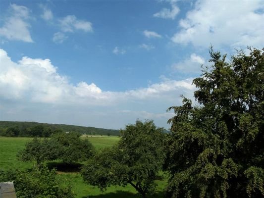 Ausblick