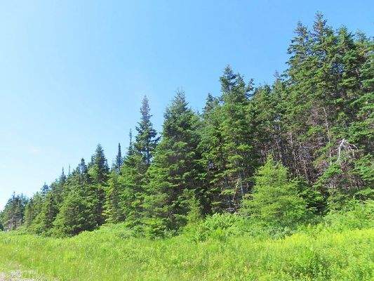 Cape Breton - Preiswertes 8,9 Hektar-Grundstück in