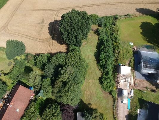 Garten / Potenzielles Baugrundstück