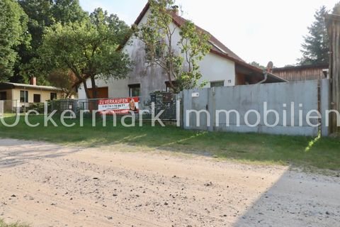 Schorfheide Häuser, Schorfheide Haus kaufen