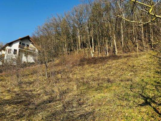 Grundstücksimpressionen im Winter