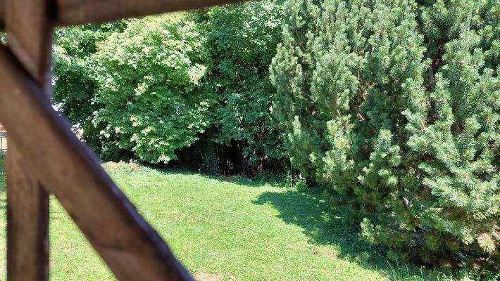 Garten.jpg