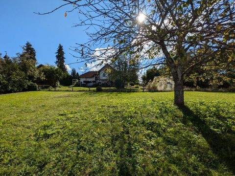 Jestetten Grundstücke, Jestetten Grundstück kaufen