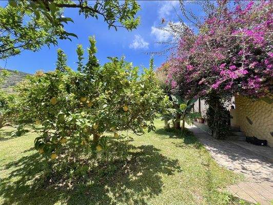 WhatsApp Image 2025-05-01 at 12.22.02 (2).jpeg