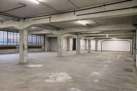 Arnsberg Halle, Arnsberg Hallenfläche