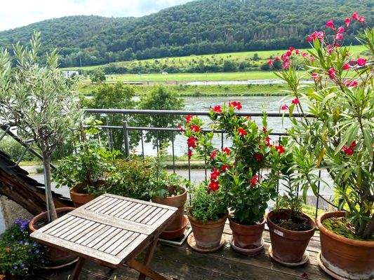 hier kann die Sele baumeln / Moselblick 