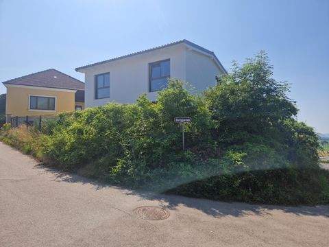 Starnwörth Häuser, Starnwörth Haus kaufen