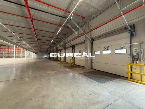 Oberhausen Halle, Oberhausen Hallenfläche