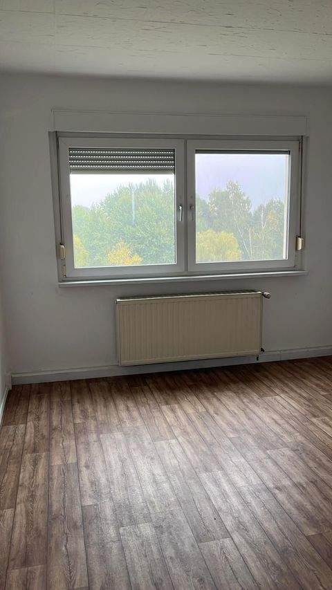 Belgern-Schildau Wohnungen, Belgern-Schildau Wohnung mieten