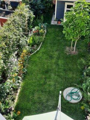 Blick in den Garten