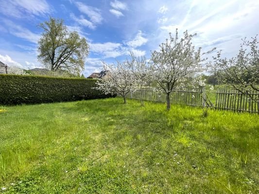 Garten (2)