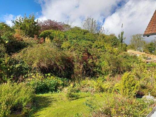 Ein Traum für alle Gartenfreunde