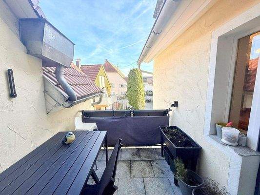 WhatsApp Image 2026-02-26 at 18.42.43 (3).jpeg