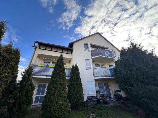 WhatsApp Image 2026-02-24 at 13.16.16 (2).jpeg