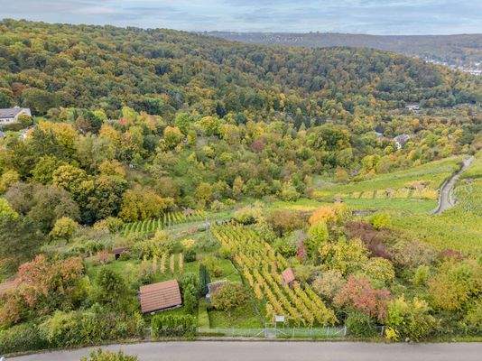 Hier genißen Sie absolute Ruhe