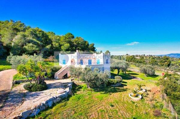 f408ff54c3e34a5e99b8f9f52946bd28-original