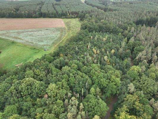 Blick Richtung Süd-West