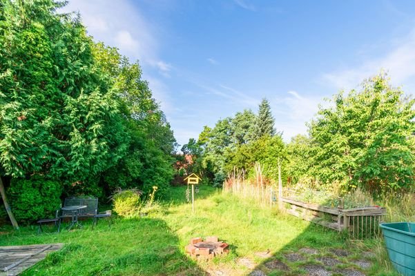 Blick in den Garten