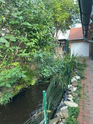 Koi-Teich Garten
